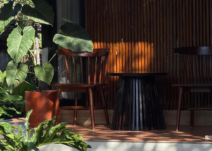 Mono By Masih House